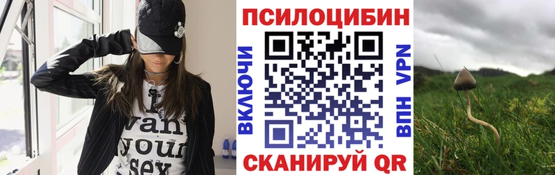 Галлюциногенные грибы прущие грибы  Шебекино 