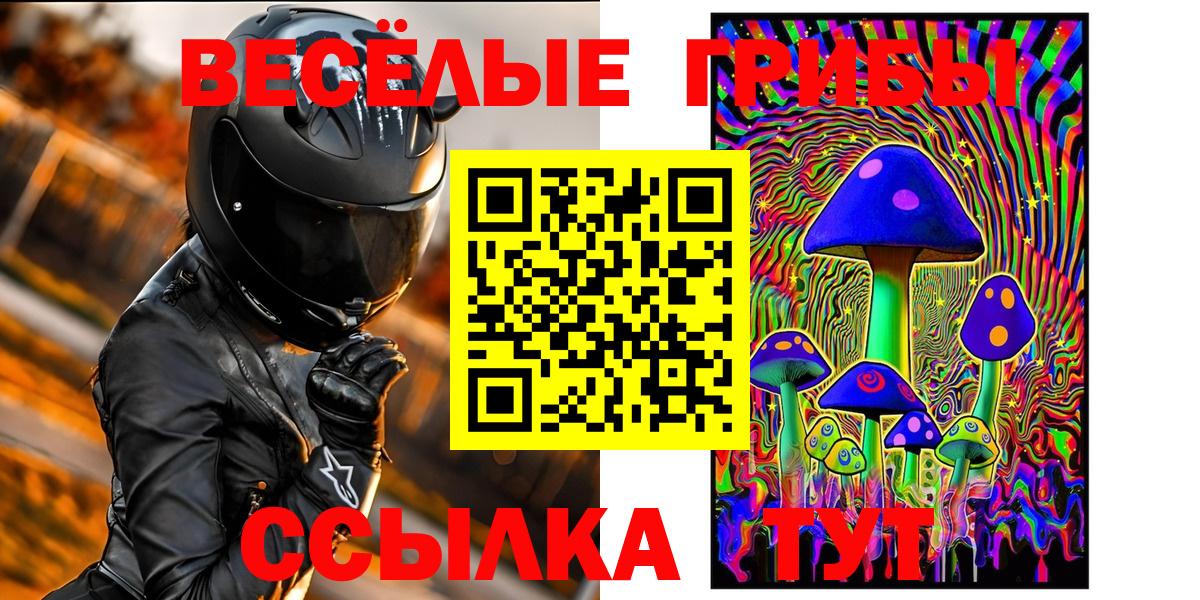 Галлюциногенные грибы мицелий  Шебекино 