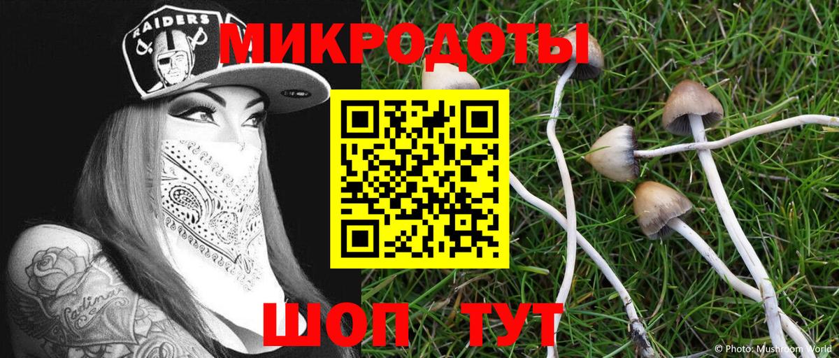 Шебекино  Псилоцибиновые грибы прущие грибы  Вход с VPN 